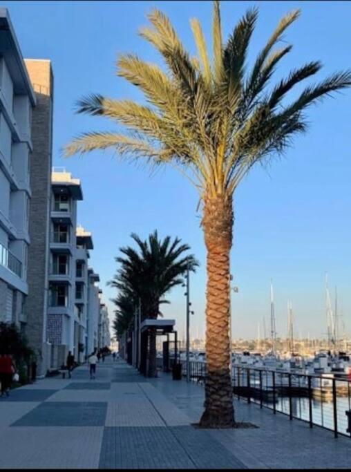 The Tulip Marina Highrise With Ocean View Apartamento *